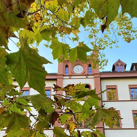 Odelya - Stadthotel Im Park Basel Luaran gambar